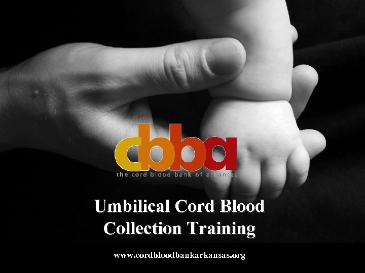 Umbilical Cord Blood Collection Training www. cordbloodbankarkansas. org 
