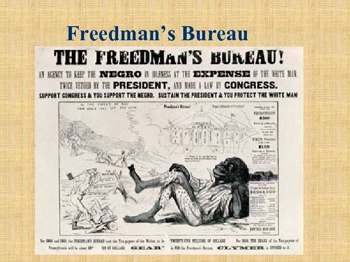 Freedman’s Bureau 