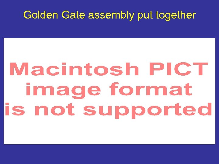 Golden Gate assembly put together 