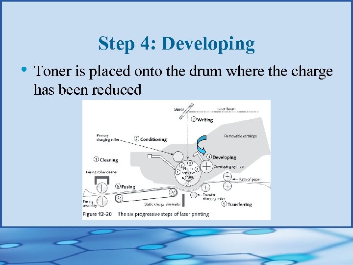Step 4: Developing • Toner is placed onto the drum where the charge has