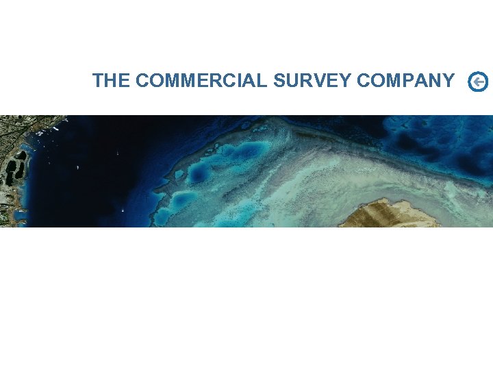 THE COMMERCIAL SURVEY COMPANY 
