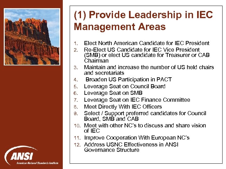 (1) Provide Leadership in IEC Management Areas Elect North American Candidate for IEC President