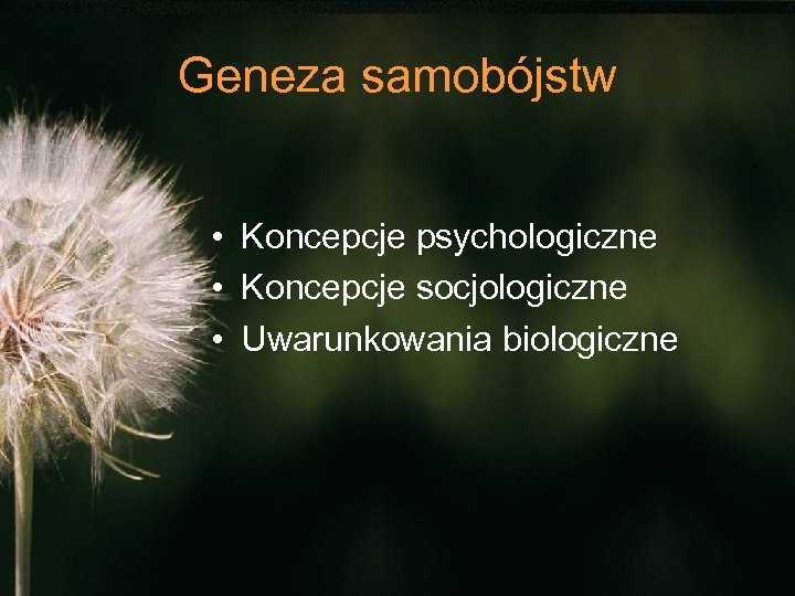 Geneza samobójstw • Koncepcje psychologiczne • Koncepcje socjologiczne • Uwarunkowania biologiczne 