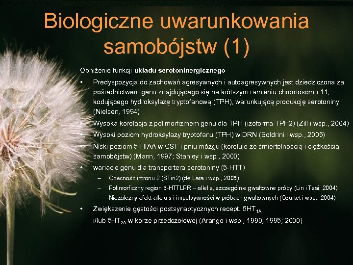 Biologiczne uwarunkowania samobójstw (1) Obniżenie funkcji układu serotoninergicznego • Predyspozycja do zachowań agresywnych i