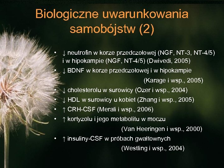 Biologiczne uwarunkowania samobójstw (2) • ↓ neutrofin w korze przedczołowej (NGF, NT-3, NT-4/5) i