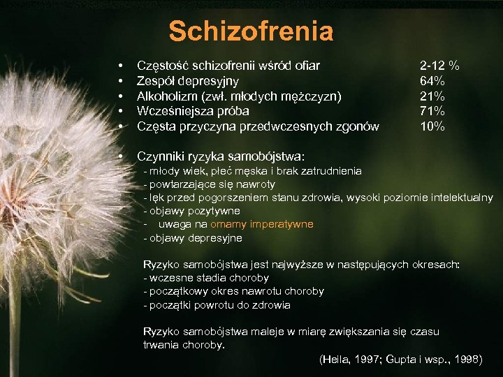 Schizofrenia • • • Częstość schizofrenii wśród ofiar Zespół depresyjny Alkoholizm (zwł. młodych mężczyzn)