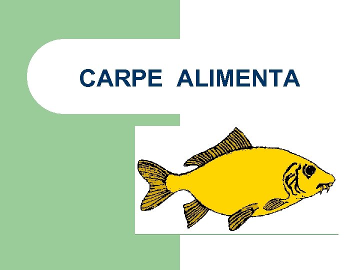 CARPE ALIMENTA 