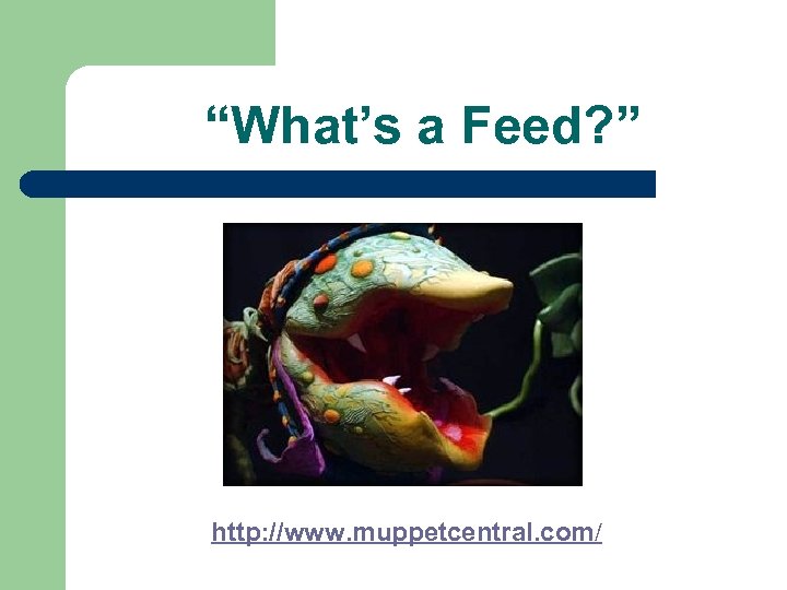 “What’s a Feed? ” http: //www. muppetcentral. com/ 