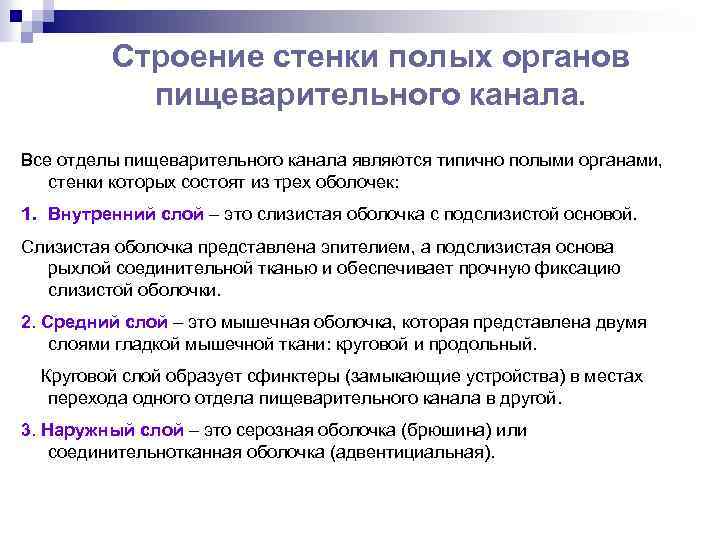 Строение стенки полых органов пищеварительного канала. Все отделы пищеварительного канала являются типично полыми органами,