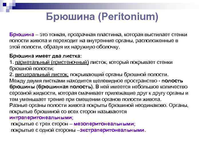 Брюшина (Peritonium) Брюшина – это тонкая, прозрачная пластинка, которая выстилает стенки полости живота и