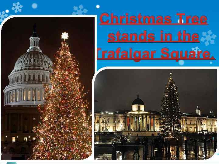 Christmas Tree stands in the Trafalgar Square. 