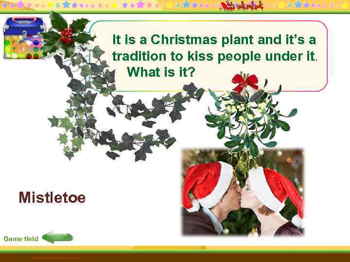 It is a Christmas plant and it’s a tradition to kiss people under it.