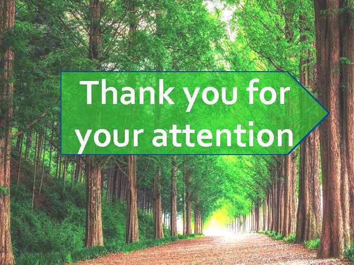 Thank you for your attention 
