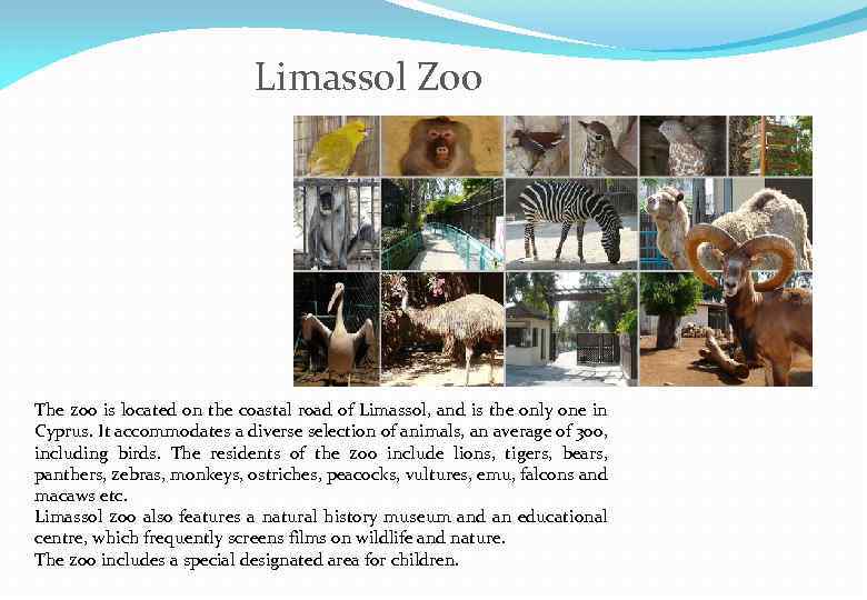 Limassol Zoo The zoo is located on the coastal road of Limassol, and is