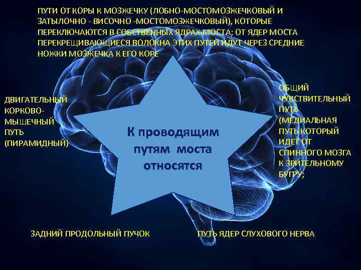 ПУТИ ОТ КОРЫ К МОЗЖЕЧКУ (ЛОБНО-МОСТОМОЗЖЕЧКОВЫЙ И ЗАТЫЛОЧНО - ВИСОЧНО -МОСТОМОЗЖЕЧКОВЫЙ), КОТОРЫЕ ПЕРЕКЛЮЧАЮТСЯ В