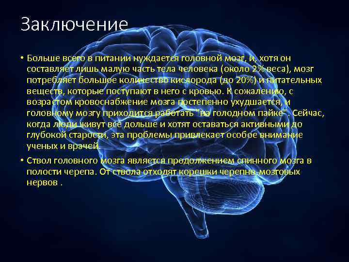 Заключение • Больше всего в питании нуждается головной мозг, и, хотя он составляет лишь