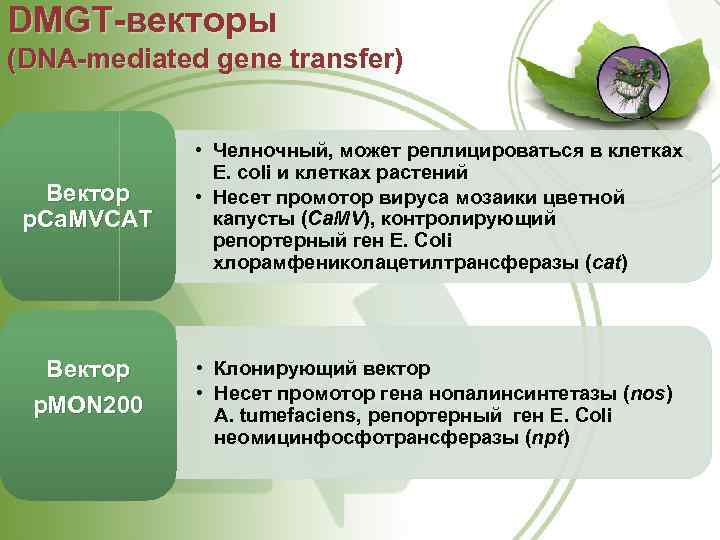 DMGT векторы (DNA mediated gene transfer) Вектор p. Ca. MVCAT Вектор p. MON 200