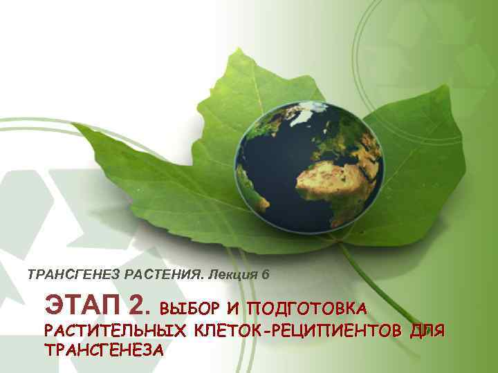 ТРАНСГЕНЕЗ РАСТЕНИЯ. Лекция 6 ЭТАП 2. ВЫБОР И ПОДГОТОВКА РАСТИТЕЛЬНЫХ КЛЕТОК-РЕЦИПИЕНТОВ ДЛЯ ТРАНСГЕНЕЗА 