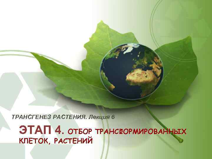 ТРАНСГЕНЕЗ РАСТЕНИЯ. Лекция 6 ЭТАП 4. ОТБОР ТРАНСФОРМИРОВАННЫХ КЛЕТОК, РАСТЕНИЙ 