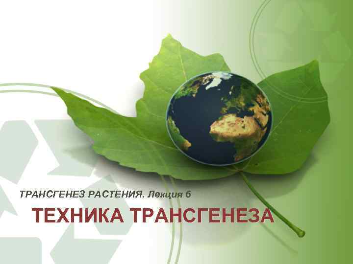 ТРАНСГЕНЕЗ РАСТЕНИЯ. Лекция 6 ТЕХНИКА ТРАНСГЕНЕЗА 