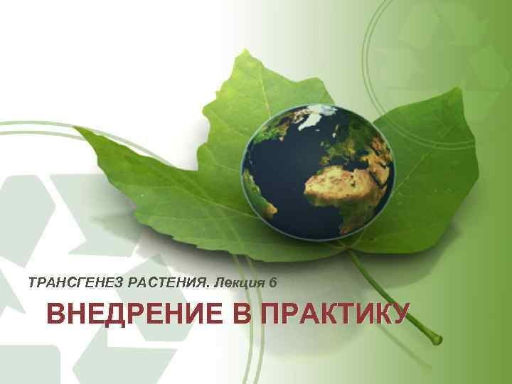 ТРАНСГЕНЕЗ РАСТЕНИЯ. Лекция 6 ВНЕДРЕНИЕ В ПРАКТИКУ 