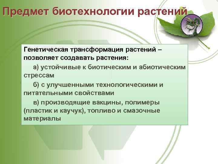 Предмет биотехнологии растений Генетическая трансформация растений – позволяет создавать растения: а) устойчивые к биотическим