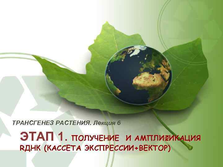 ТРАНСГЕНЕЗ РАСТЕНИЯ. Лекция 6 ЭТАП 1. ПОЛУЧЕНИЕ И АМПЛИФИКАЦИЯ RДНК (КАССЕТА ЭКСПРЕССИИ+ВЕКТОР) 