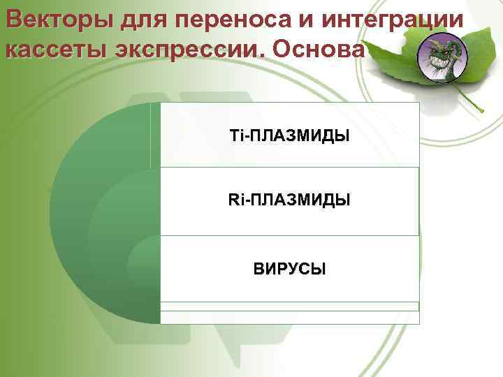Векторы для переноса и интеграции кассеты экспрессии. Основа Ti ПЛАЗМИДЫ Ri ПЛАЗМИДЫ ВИРУСЫ 