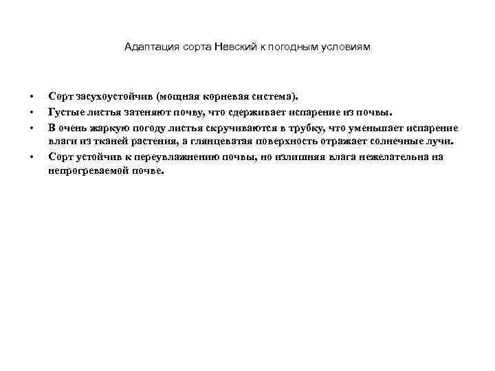 Адаптация сорта Невский к погодным условиям • • Сорт засухоустойчив (мощная корневая система). Густые