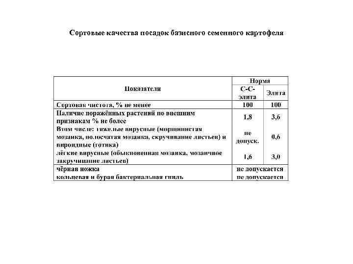 Сортовые качества посадок базисного семенного картофеля 
