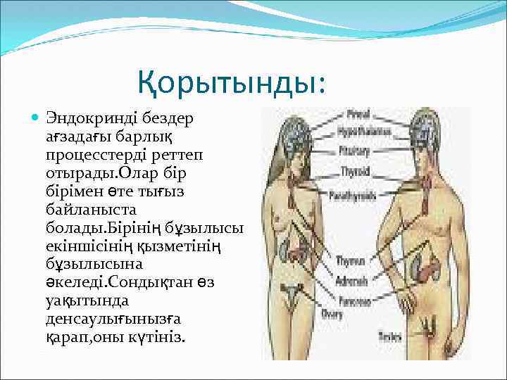 Қорытынды: Эндокринді бездер ағзадағы барлық процесстерді реттеп отырады. Олар бірімен өте тығыз байланыста болады.
