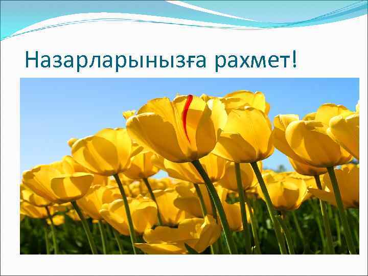 Назарларынызға рахмет! 