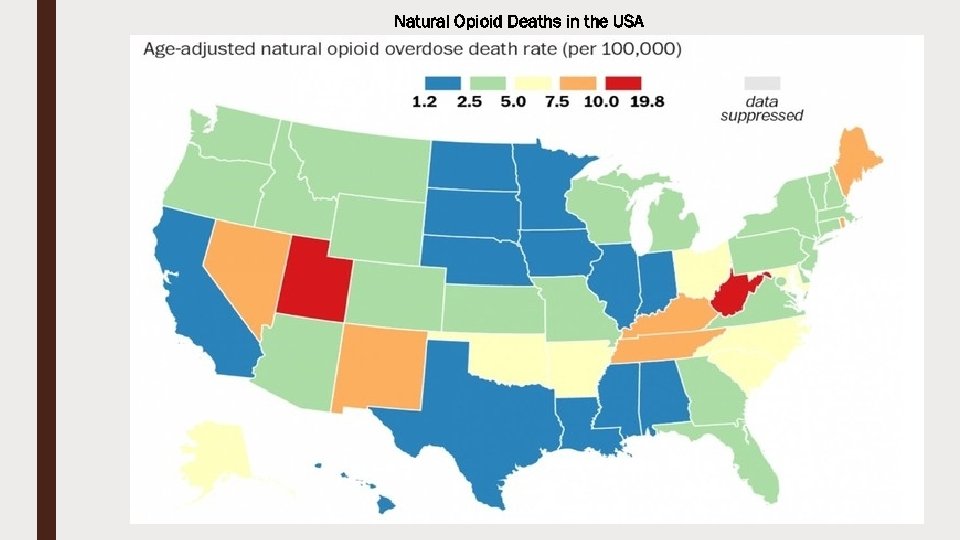 Natural Opioid Deaths in the USA 