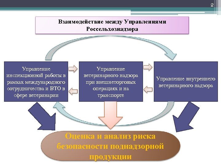 2 Взаимодействие между Управлениями Россельхознадзора Управление инспекционной работы в рамках международного сотрудничества и ВТО