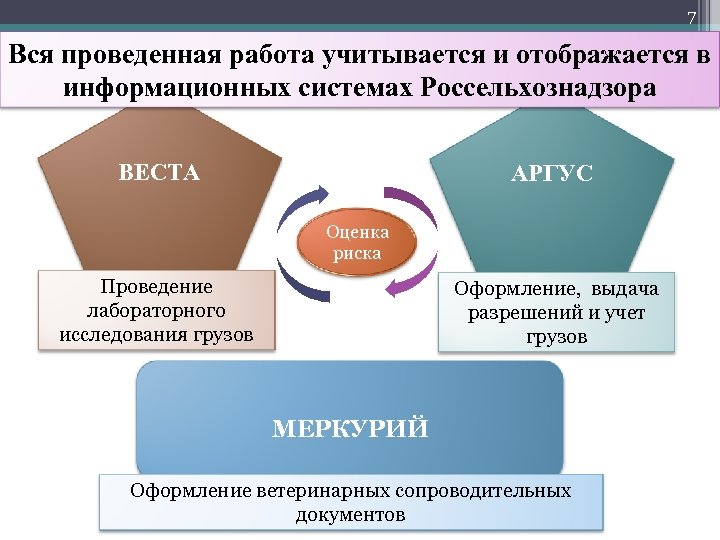 7 Вся проведенная работа учитывается и отображается в информационных системах Россельхознадзора ВЕСТА АРГУС Оценка