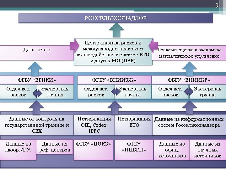 9 РОССЕЛЬХОЗНАДЗОР Дата-центр Центр анализа рисков и международно-правового взаимодействия в системе ВТО и других