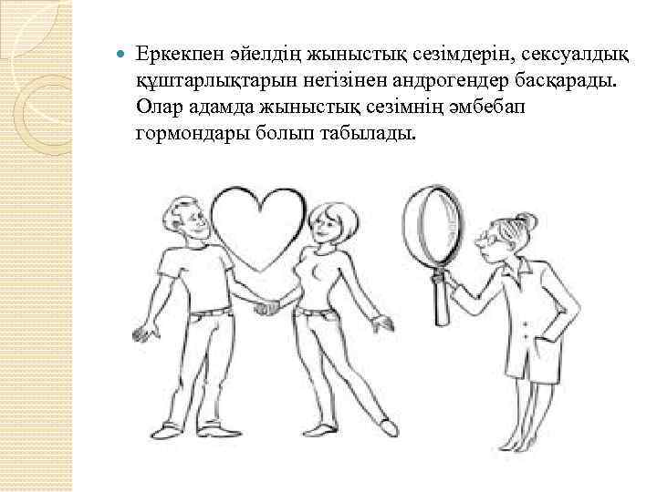  Еркекпен әйелдің жыныстық сезімдерін, сексуалдық құштарлықтарын негізінен андрогендер басқарады. Олар адамда жыныстық сезімнің
