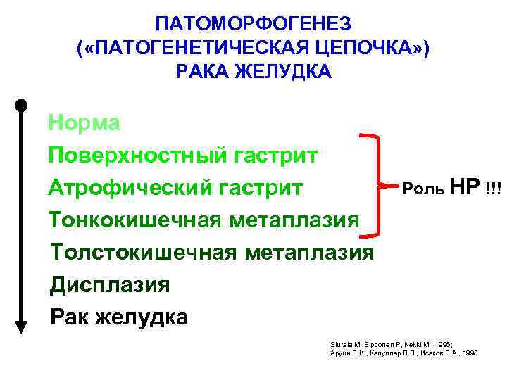 ПАТОМОРФОГЕНЕЗ ( «ПАТОГЕНЕТИЧЕСКАЯ ЦЕПОЧКА» ) РАКА ЖЕЛУДКА Норма Поверхностный гастрит Атрофический гастрит Тонкокишечная метаплазия