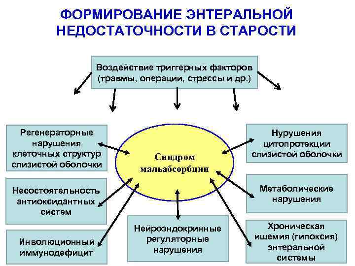 ФОРМИРОВАНИЕ ЭНТЕРАЛЬНОЙ НЕДОСТАТОЧНОСТИ В СТАРОСТИ Воздействие триггерных факторов (травмы, операции, стрессы и др. )