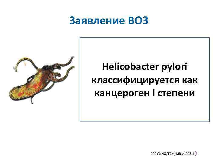 Заявление ВОЗ Helicobacter pylori классифицируется как канцероген I степени ВОЗ (WHO/TCM/MRS/1998. 1 ) 