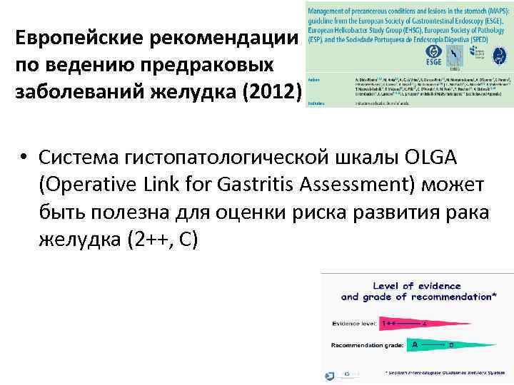 Европейские рекомендации по ведению предраковых заболеваний желудка (2012) • Система гистопатологической шкалы OLGA (Operative