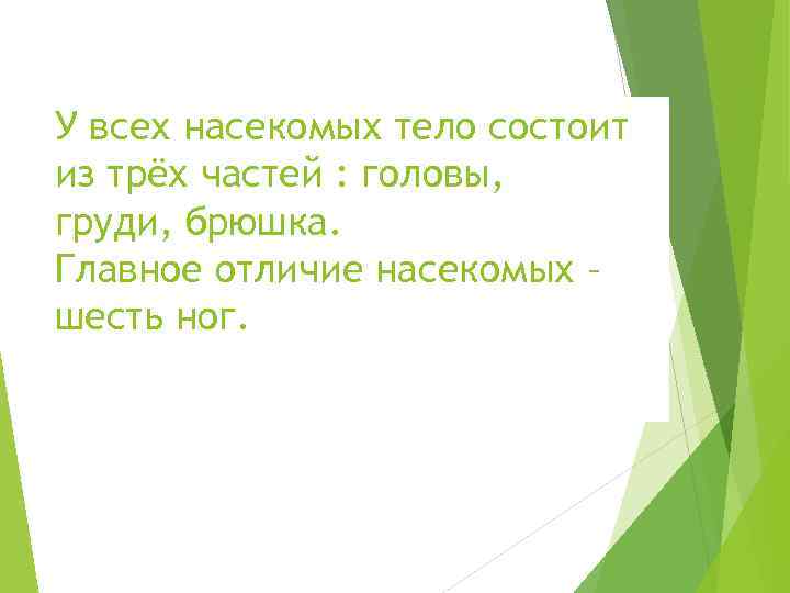 У всех насекомых тело состоит из трёх частей : головы, груди, брюшка. Главное отличие