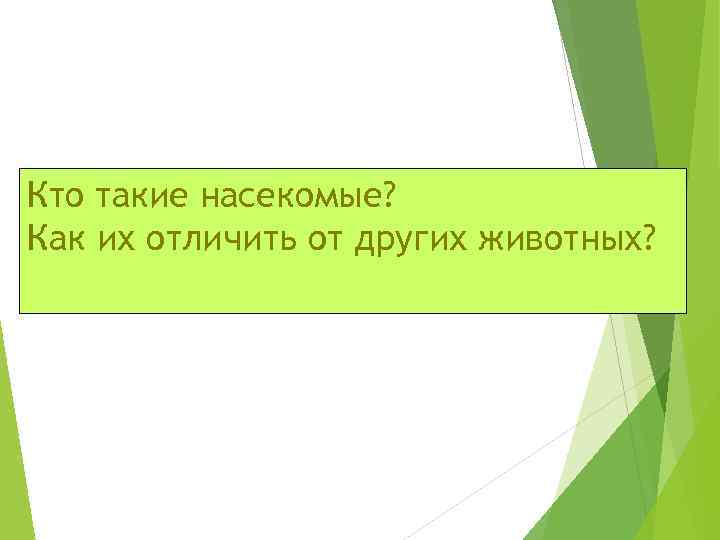 Кто такие насекомые? Как их отличить от других животных? 
