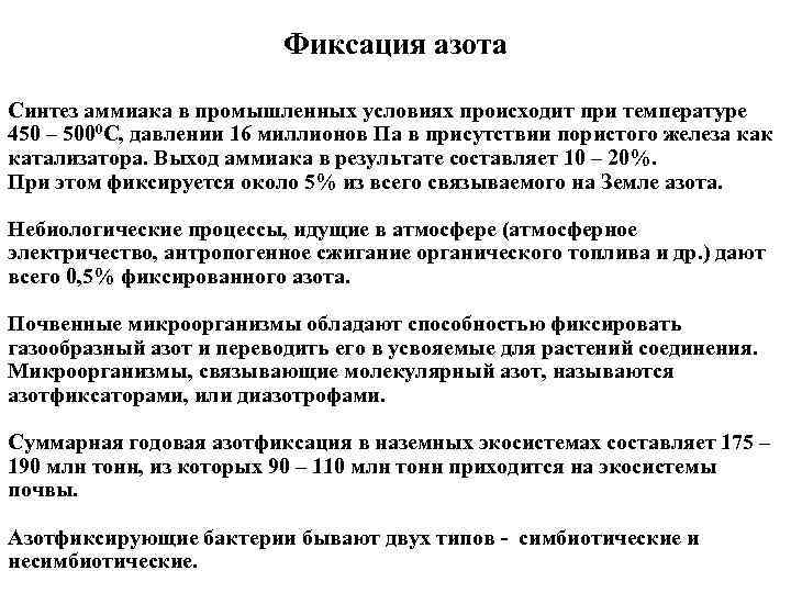 Способны к фиксации атмосферного азота