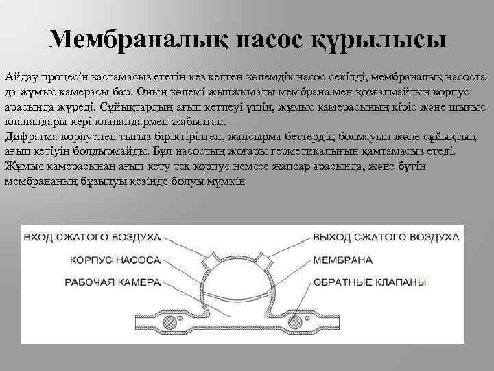 Мембраналық насос құрылысы Айдау процесін қастамасыз ететін кез келген көлемдік насос секілді, мембраналық насоста
