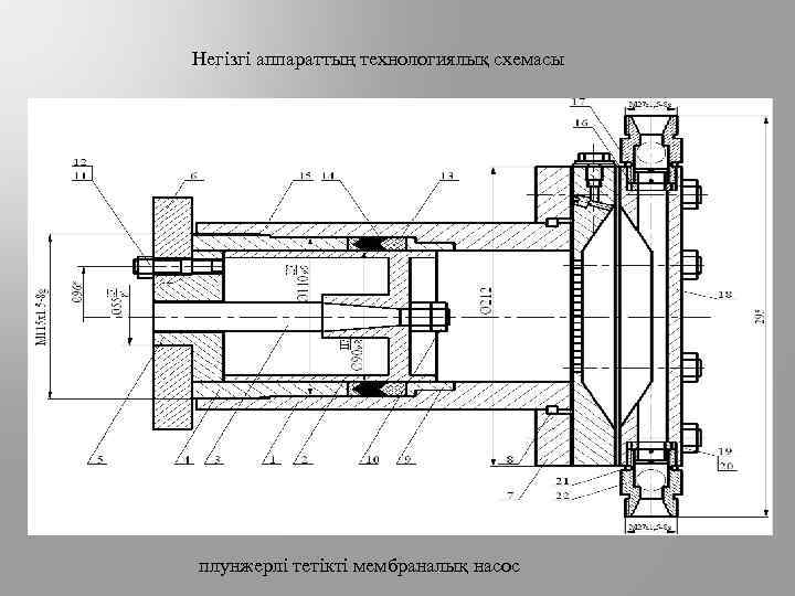Негізгі аппараттың технологиялық схемасы плунжерлі тетікті мембраналық насос 