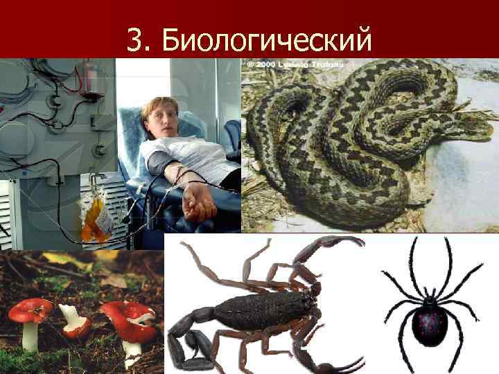 3. Биологический 