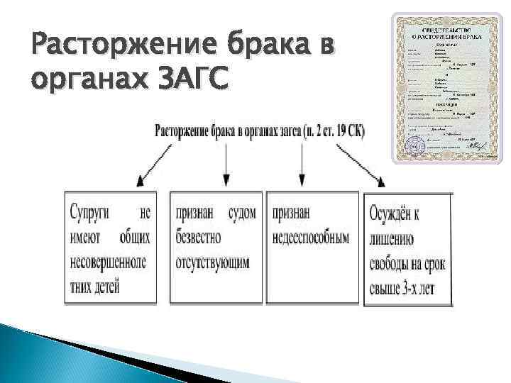 Расторжение брака в органах ЗАГС 