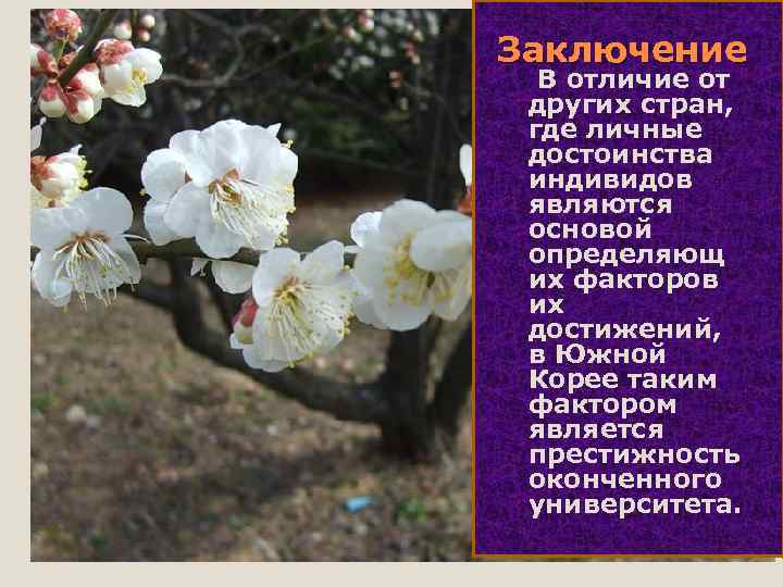 Заключение В отличие от других стран, где личные достоинства индивидов являются основой определяющ их