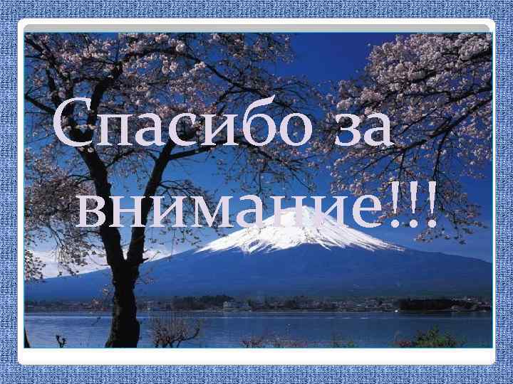 Спасибо за внимание!!! 